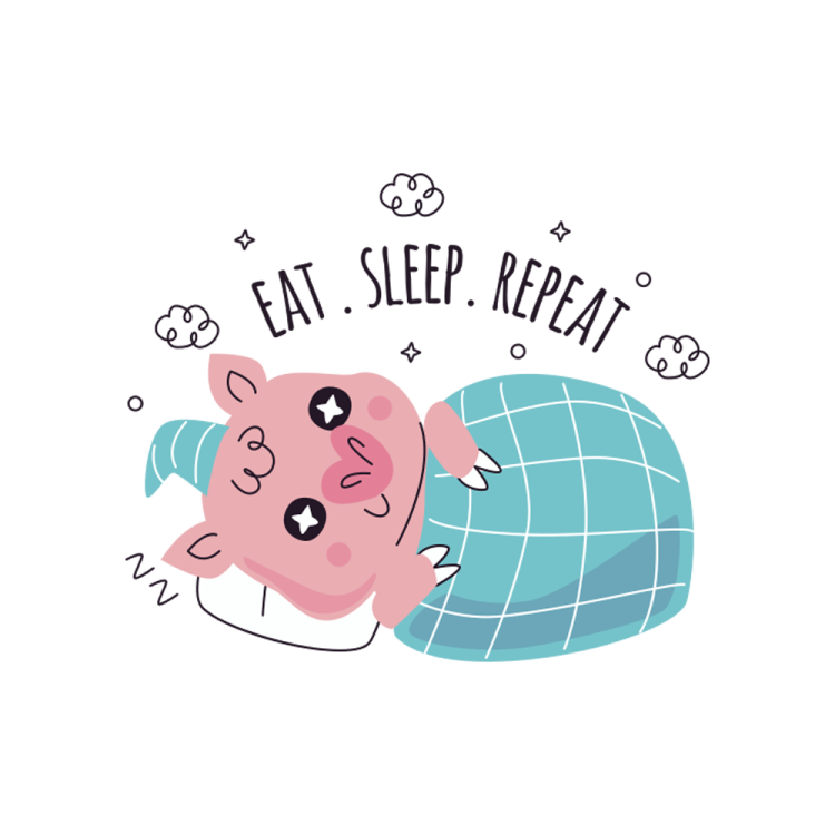 a pig sleeping in bed with the words eat sleep repeat