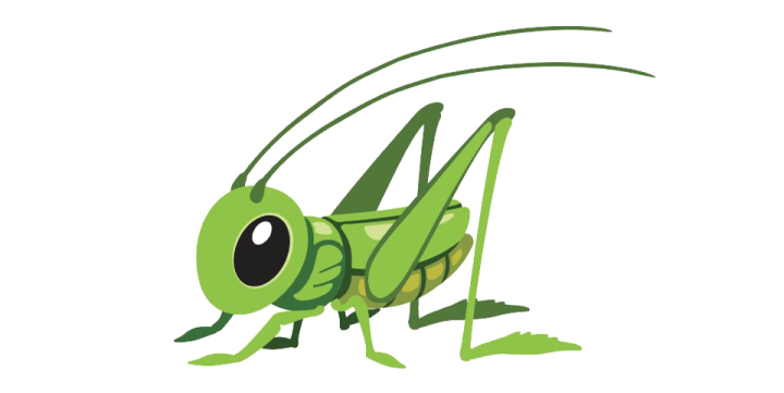 a green grasshopper with big eyes