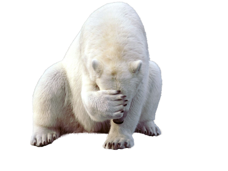 a polar bear standing on its hinds