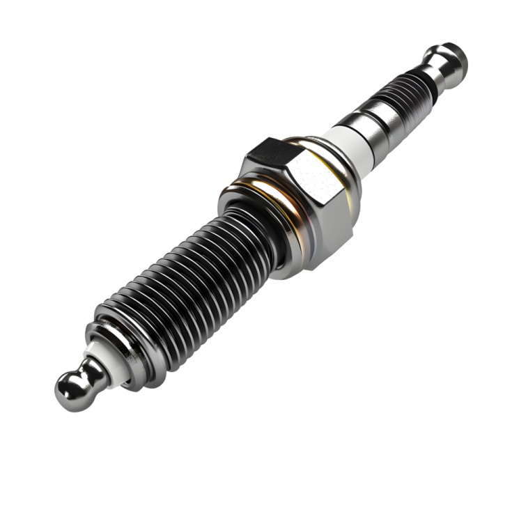 an image of the front shock spring on a white background