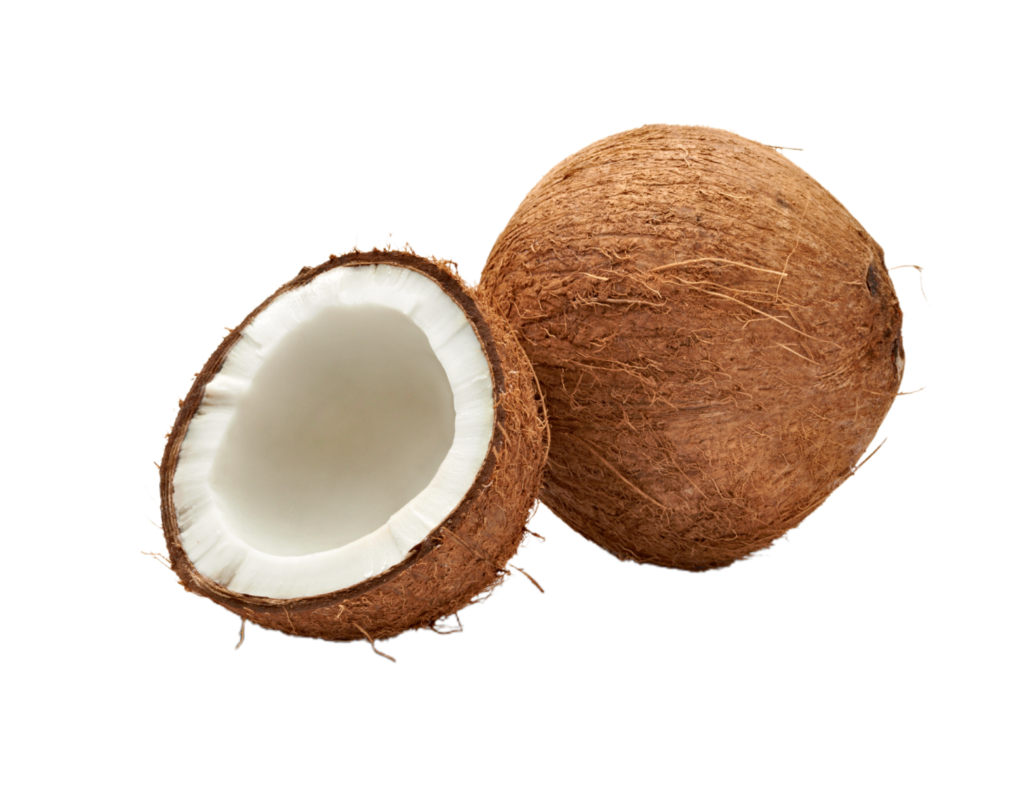 two halves of coconut on a white background