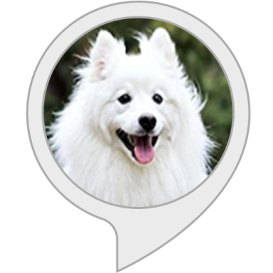 a white dog with its mouth open and tongue out