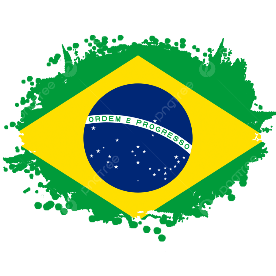 the flag of brazil