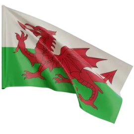 a flag with a red dragon on it