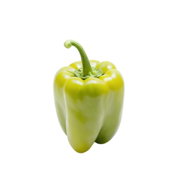 a green pepper on a white background