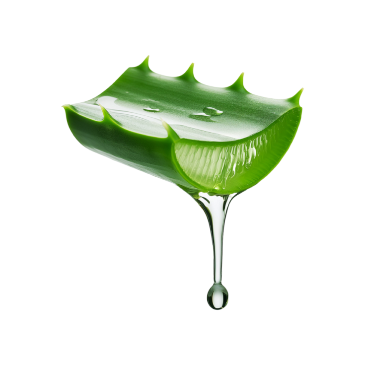 a green leaf with water drops on it