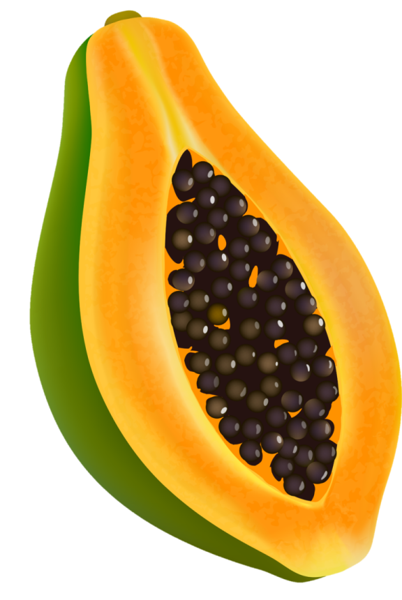 A half of papa with seeds on it