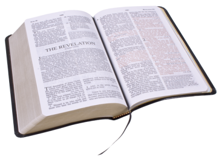 an open bible on a white background