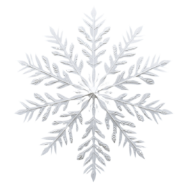 a white snowflake with a large snow fl