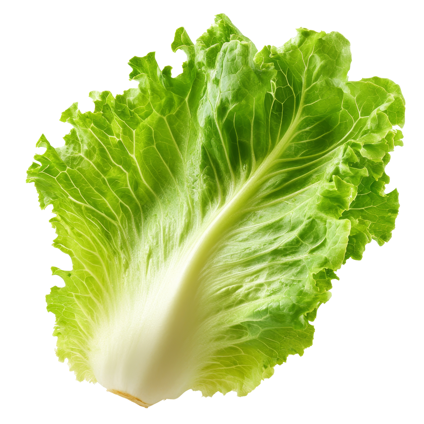 a close up of a green leafy vegetable