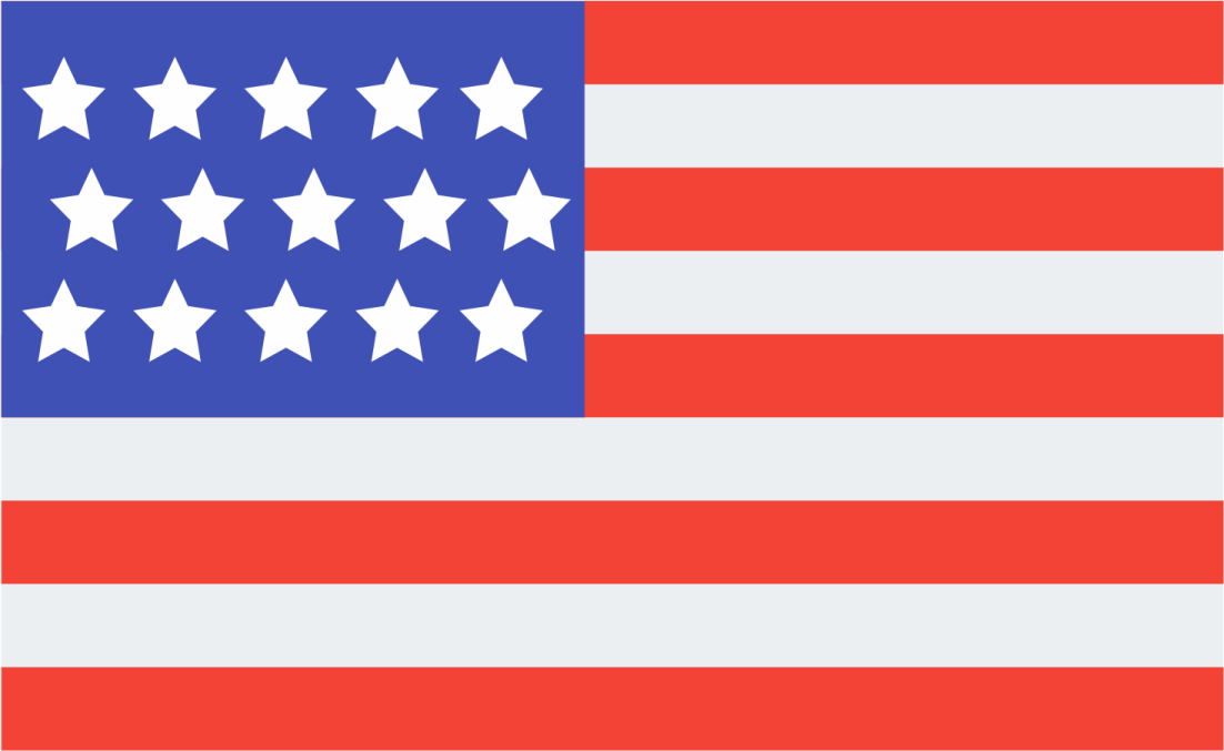 the american flag
