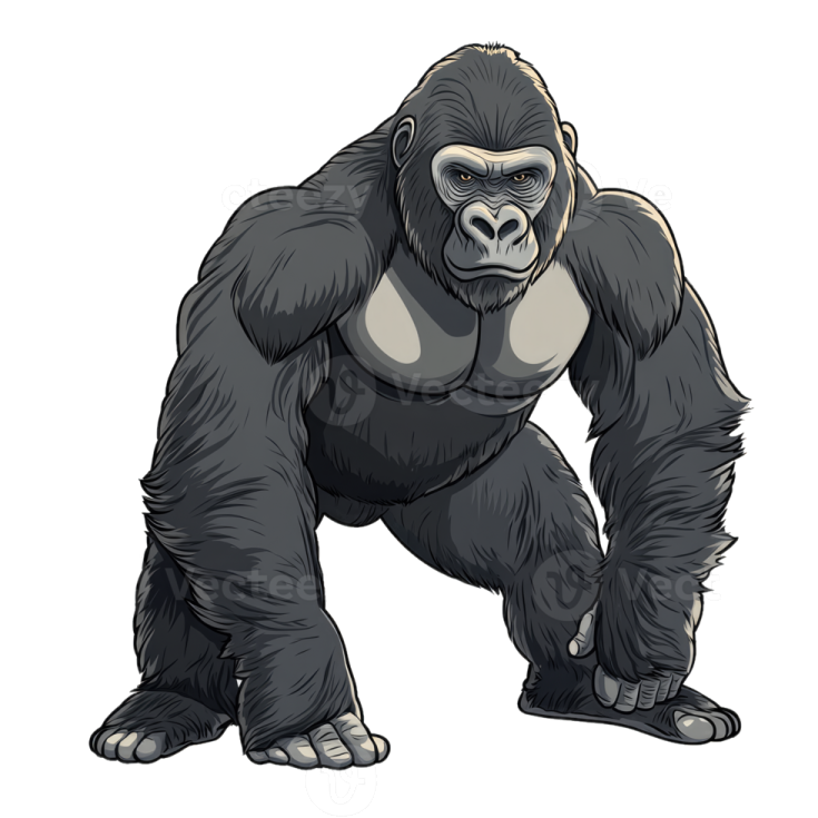 vector illustration of a gorilla
