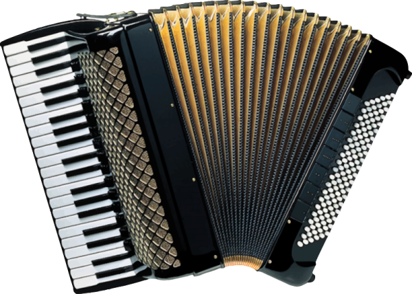 a black accordion with white keys