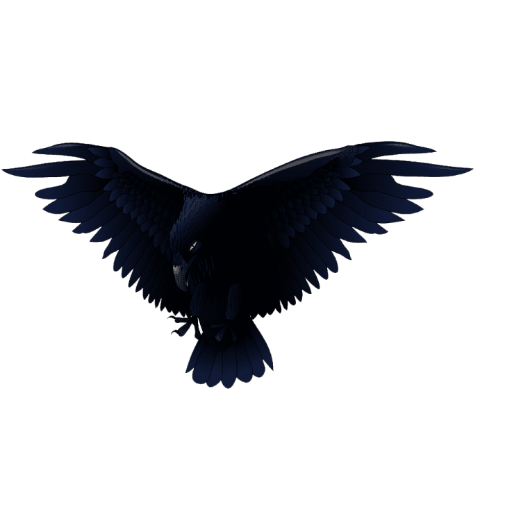 a black bird is flying in the air