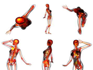 an image of a woman's body in different positions