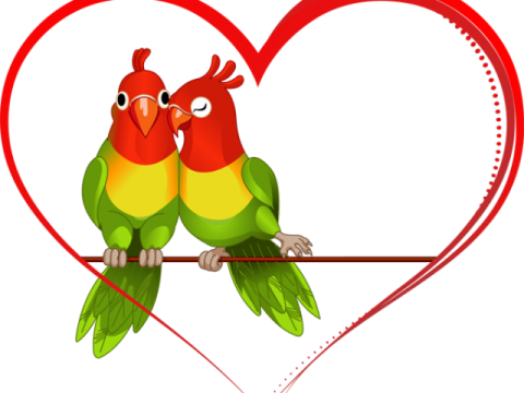 two birds sitting on a branch in front of a heart