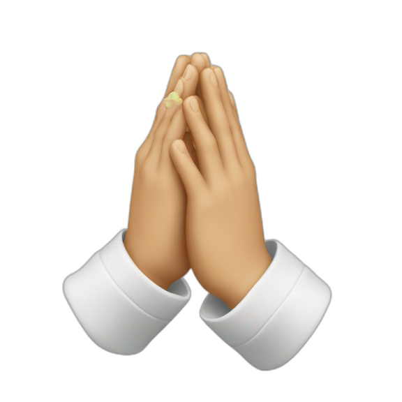 a pair of hands folded in prayer