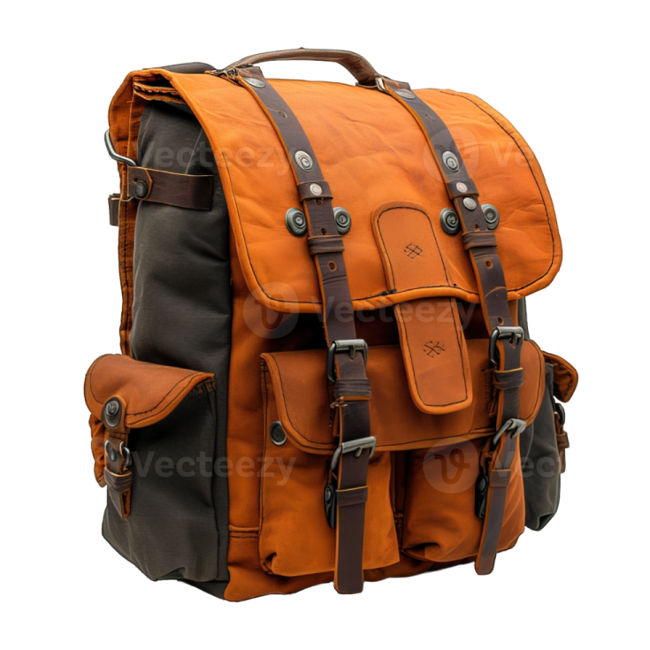 a brown and black backpack with leather straps