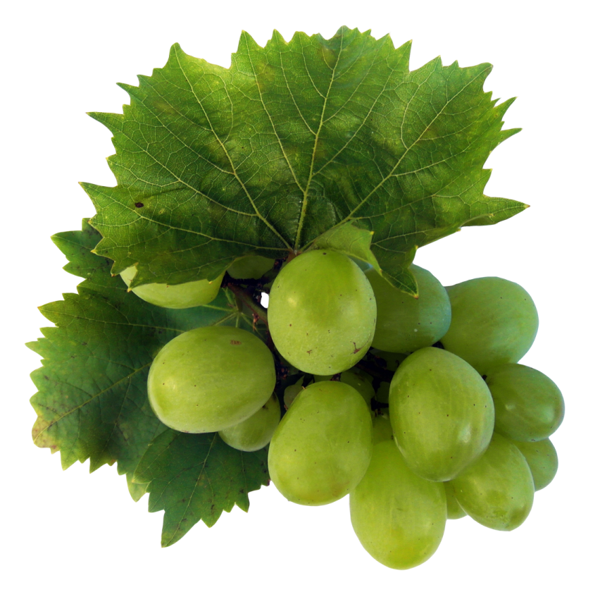 a bunch of green grapes on a white background