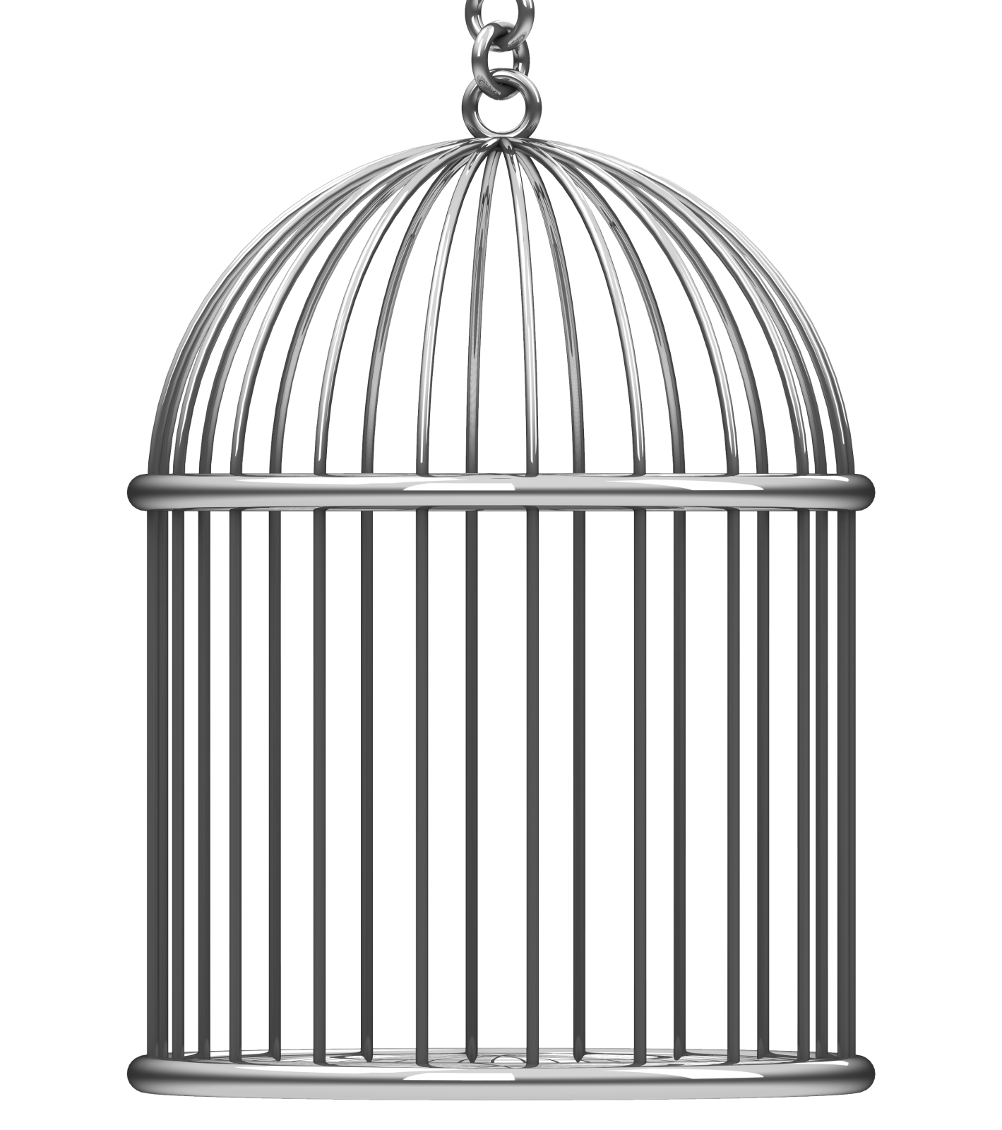 a bird in a cage on a white background