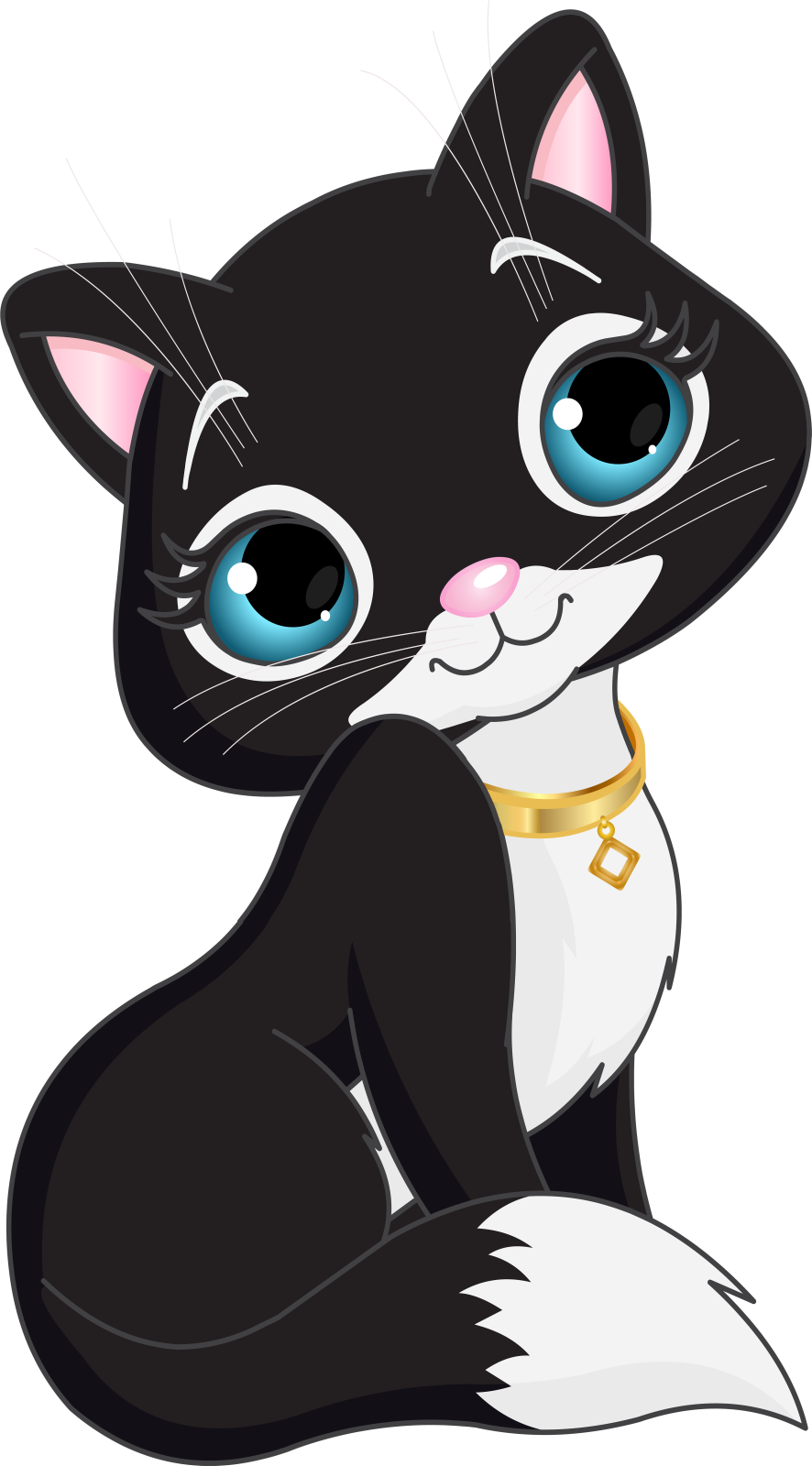 a black and white cat with blue eyes