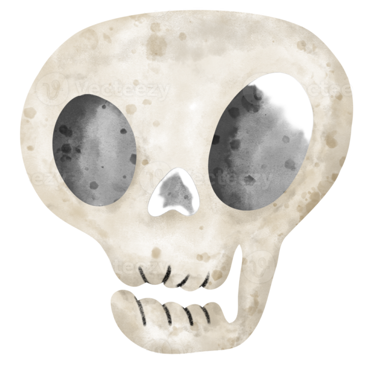 a watercolor painting of a skull