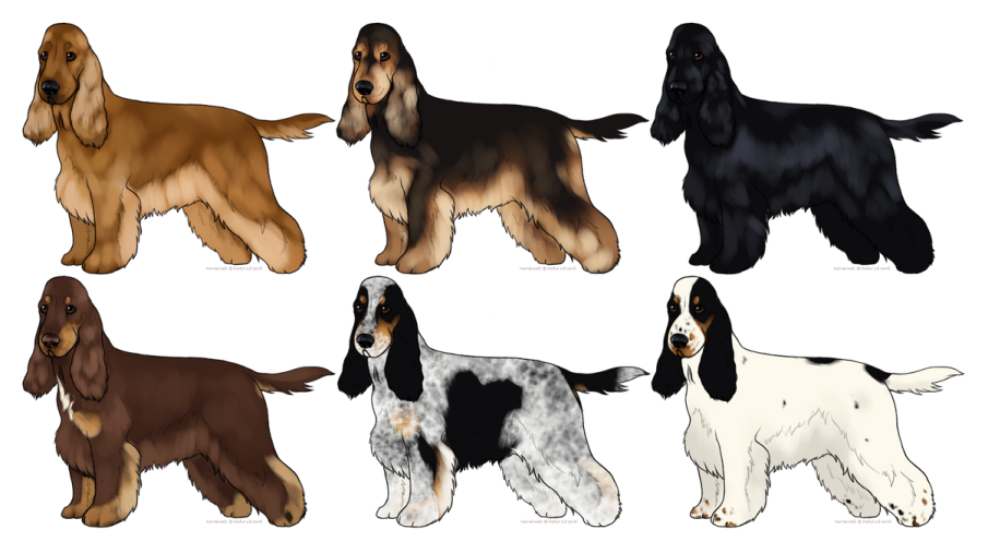 a set of four dogs in different colors
