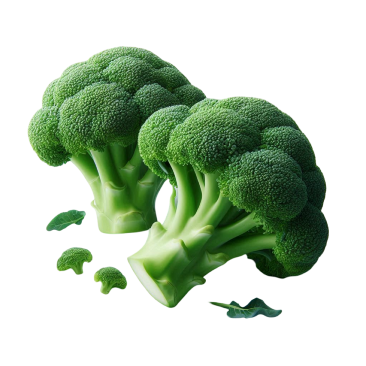 two pieces of broccole on a white background