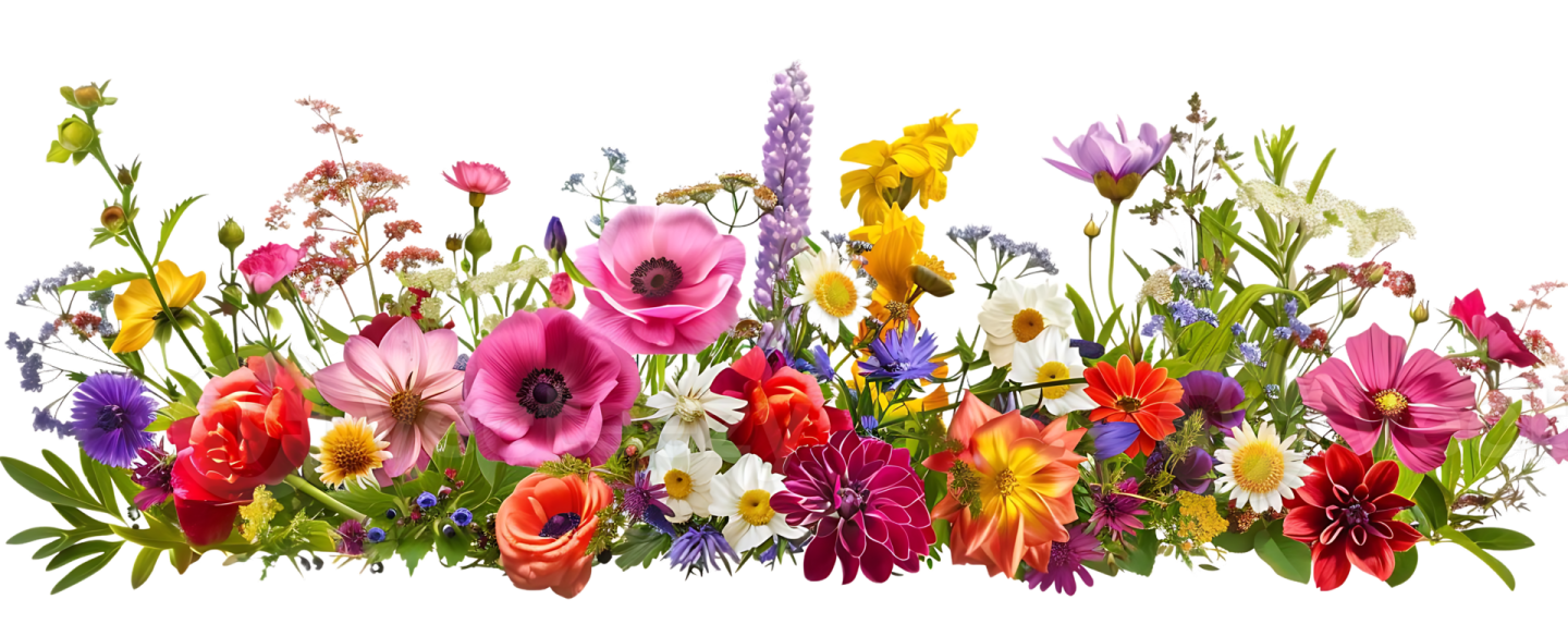 a bunch of flowers on a white background