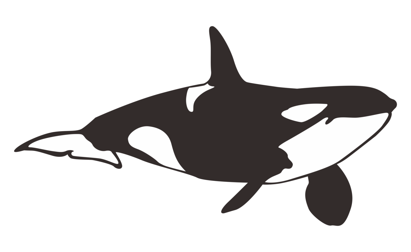 a black and white silhouette of an orca