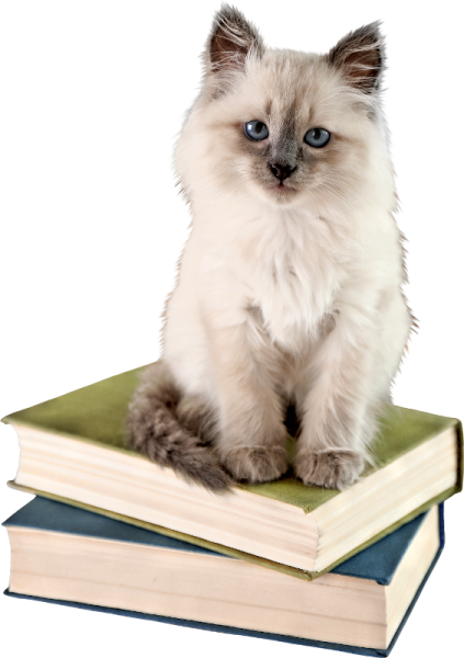 a cat sitting on top of a pile of books