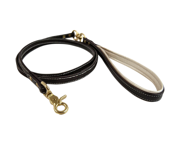 a black leather dog leash with brass hardware