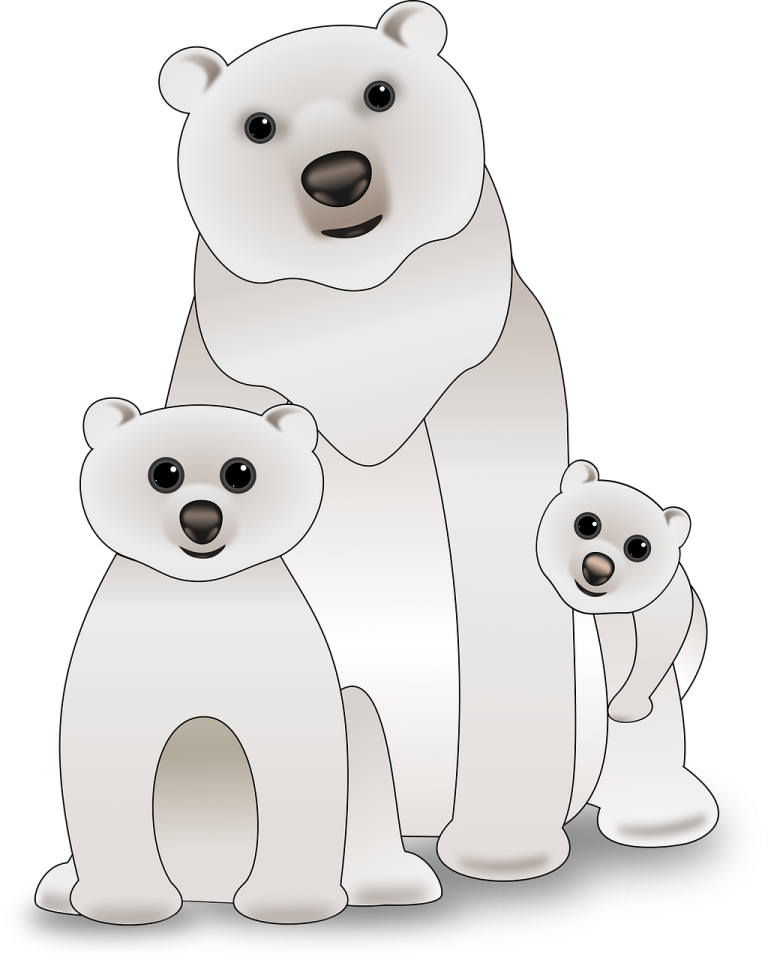 a polar bear and her two cubs