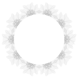 an image of a bicycle chainring