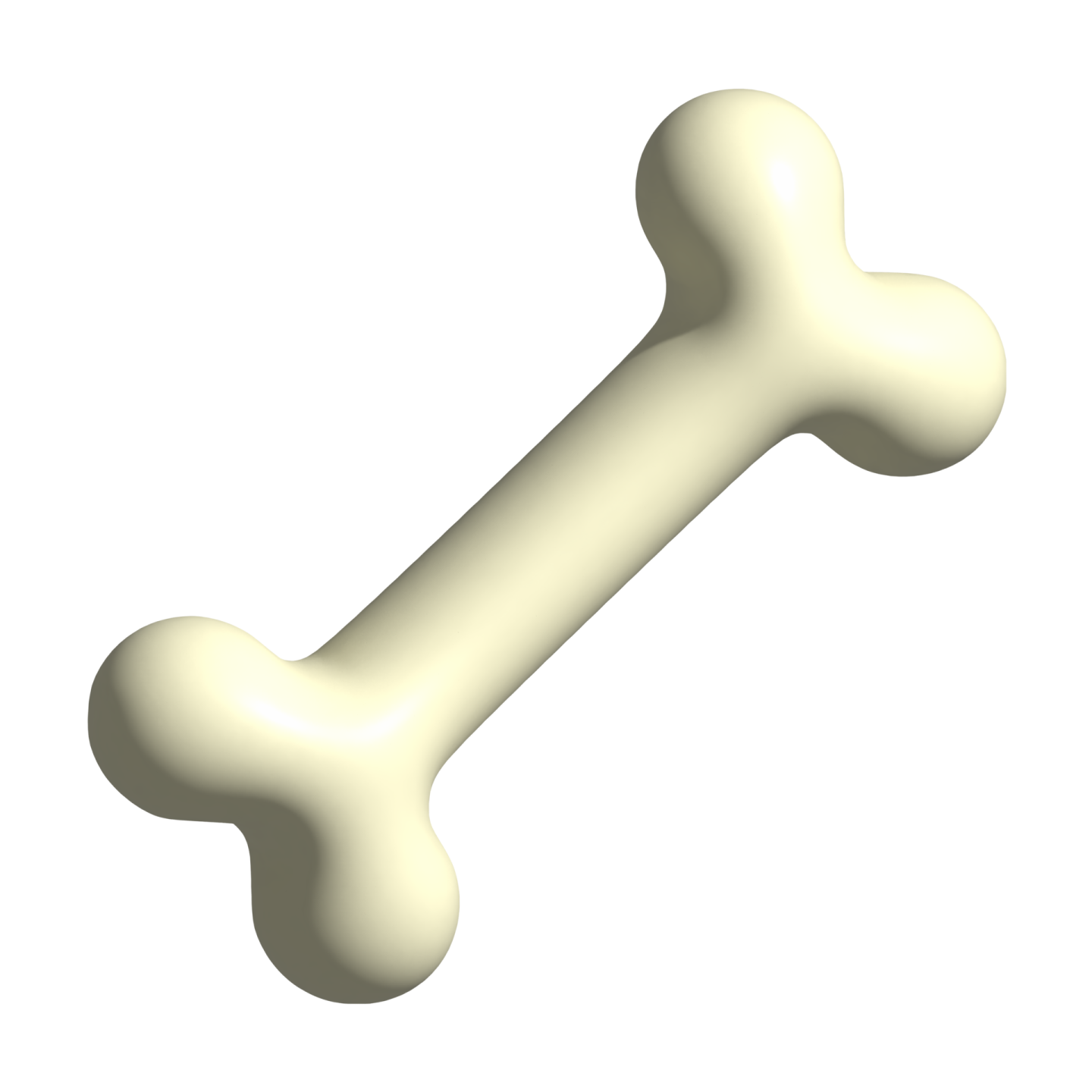 an image of a bone bone