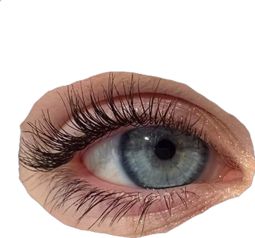 a close up of an eye with long eyelashes