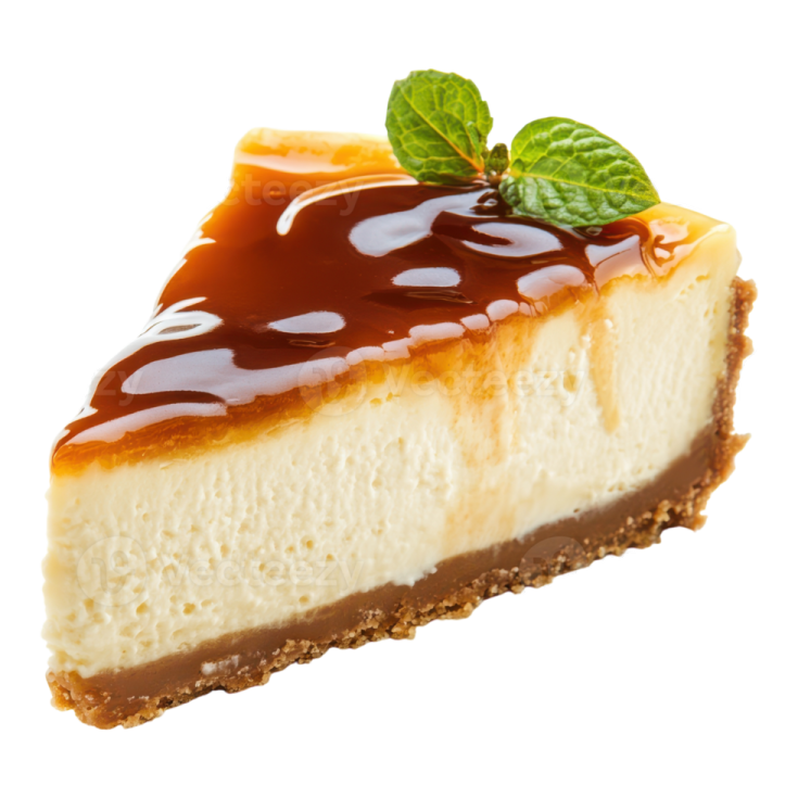 a piece of cheesecake with chocolate sauce on top