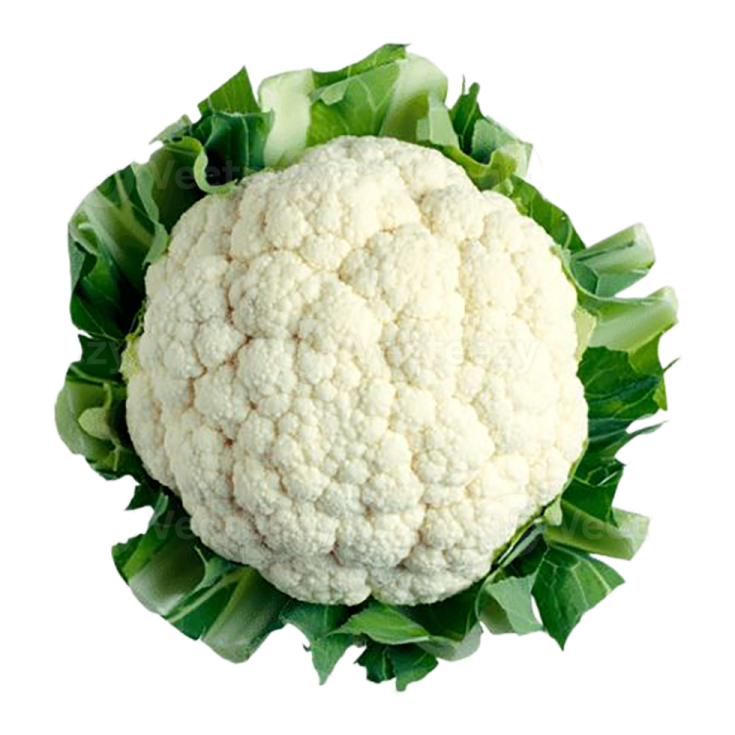 a head of caulia on a white background