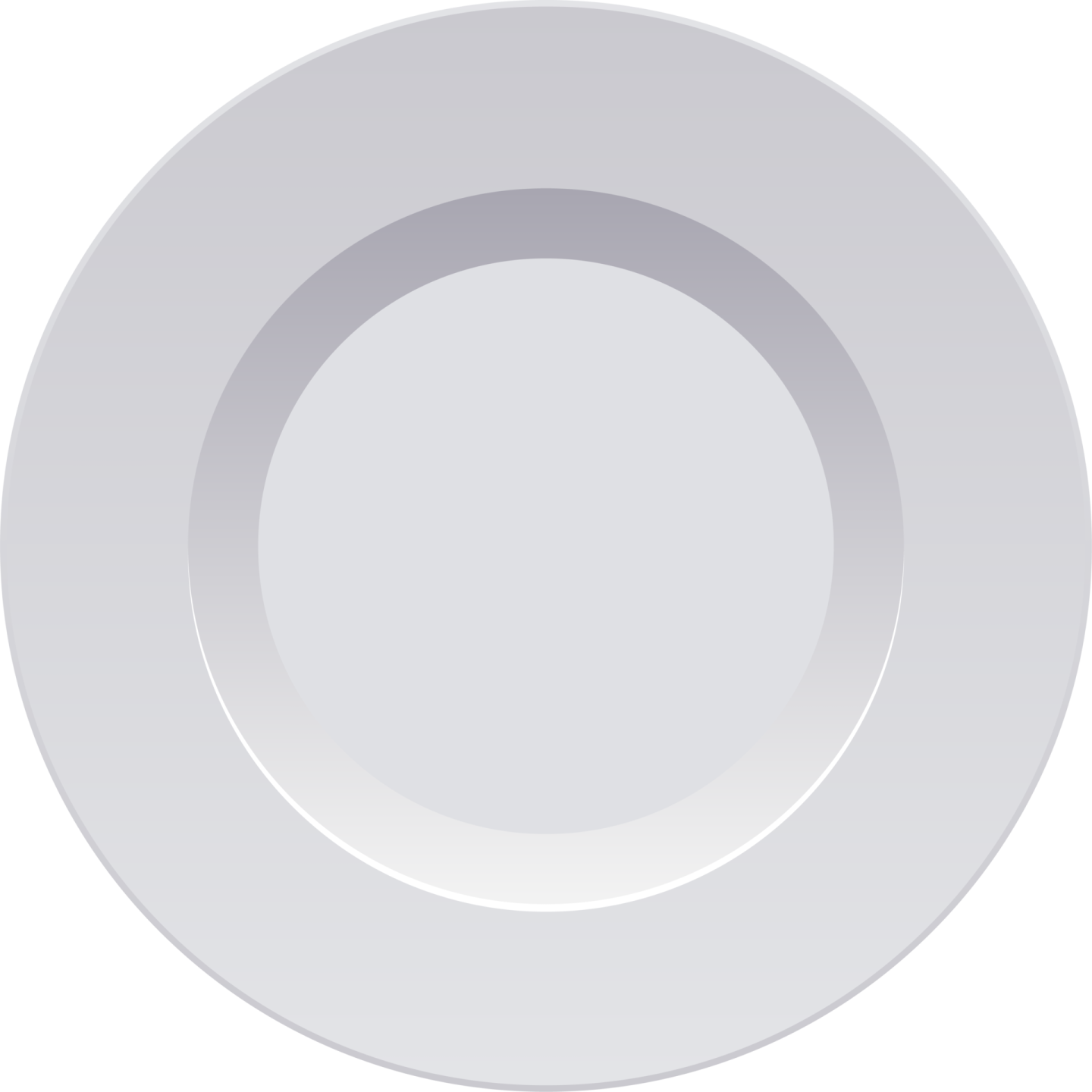 a white plate with a silver rim
