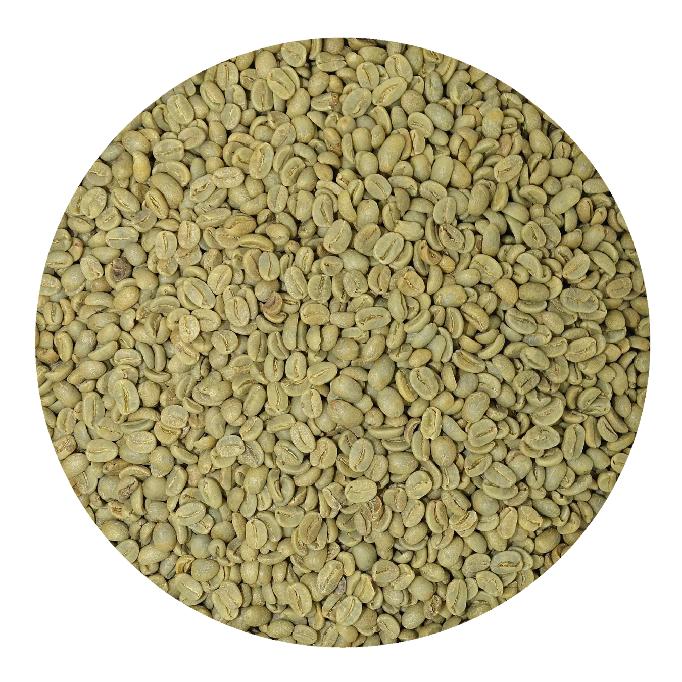 a pile of green coffee beans