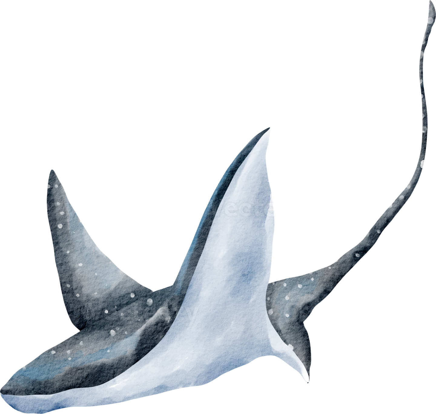 an illustration of a whale swimming in the ocean
