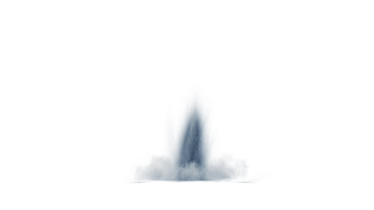 the sky is white