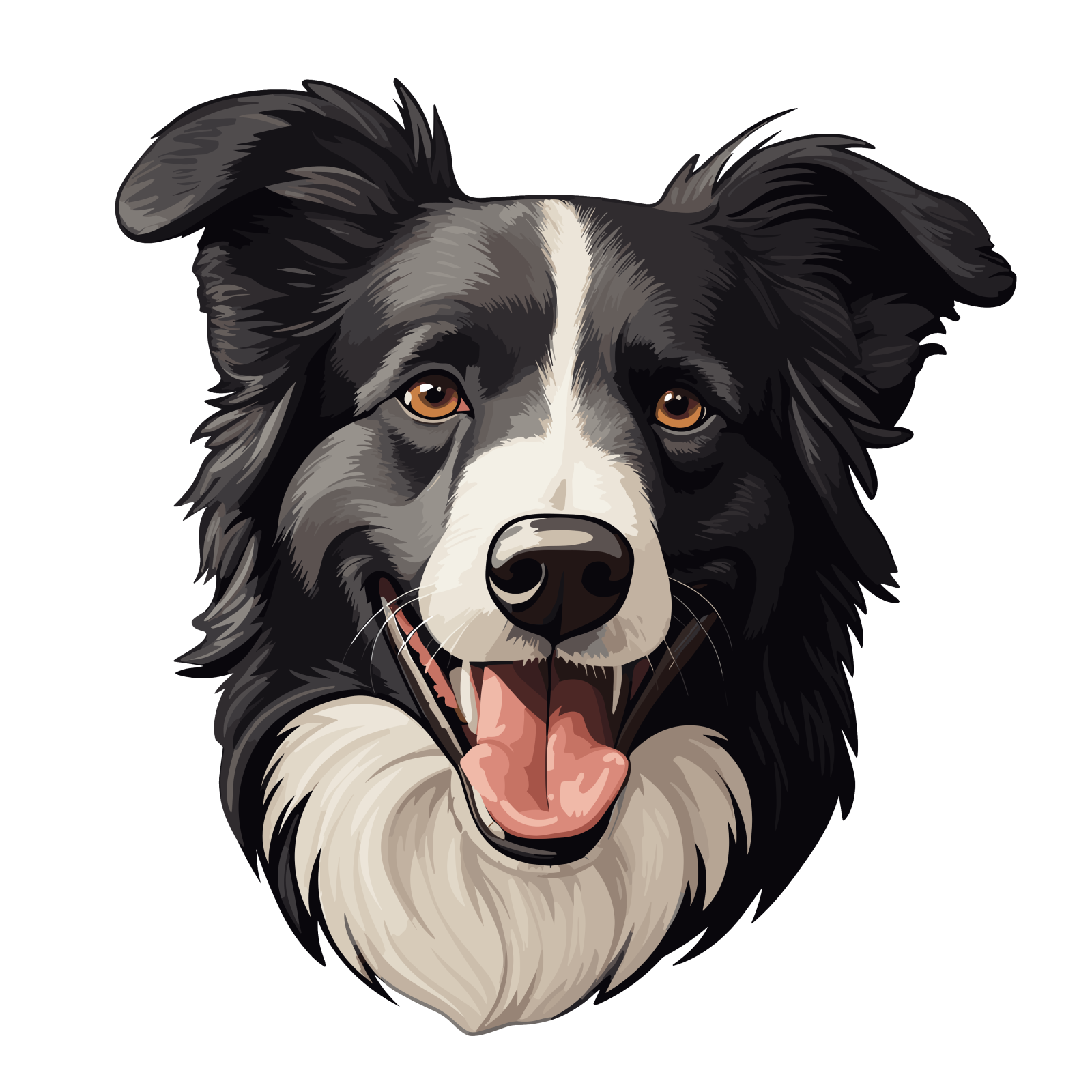 a black and white dog face on a white background
