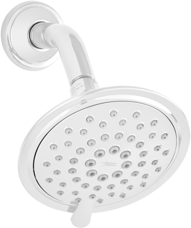 therme shower head with hand shower spray