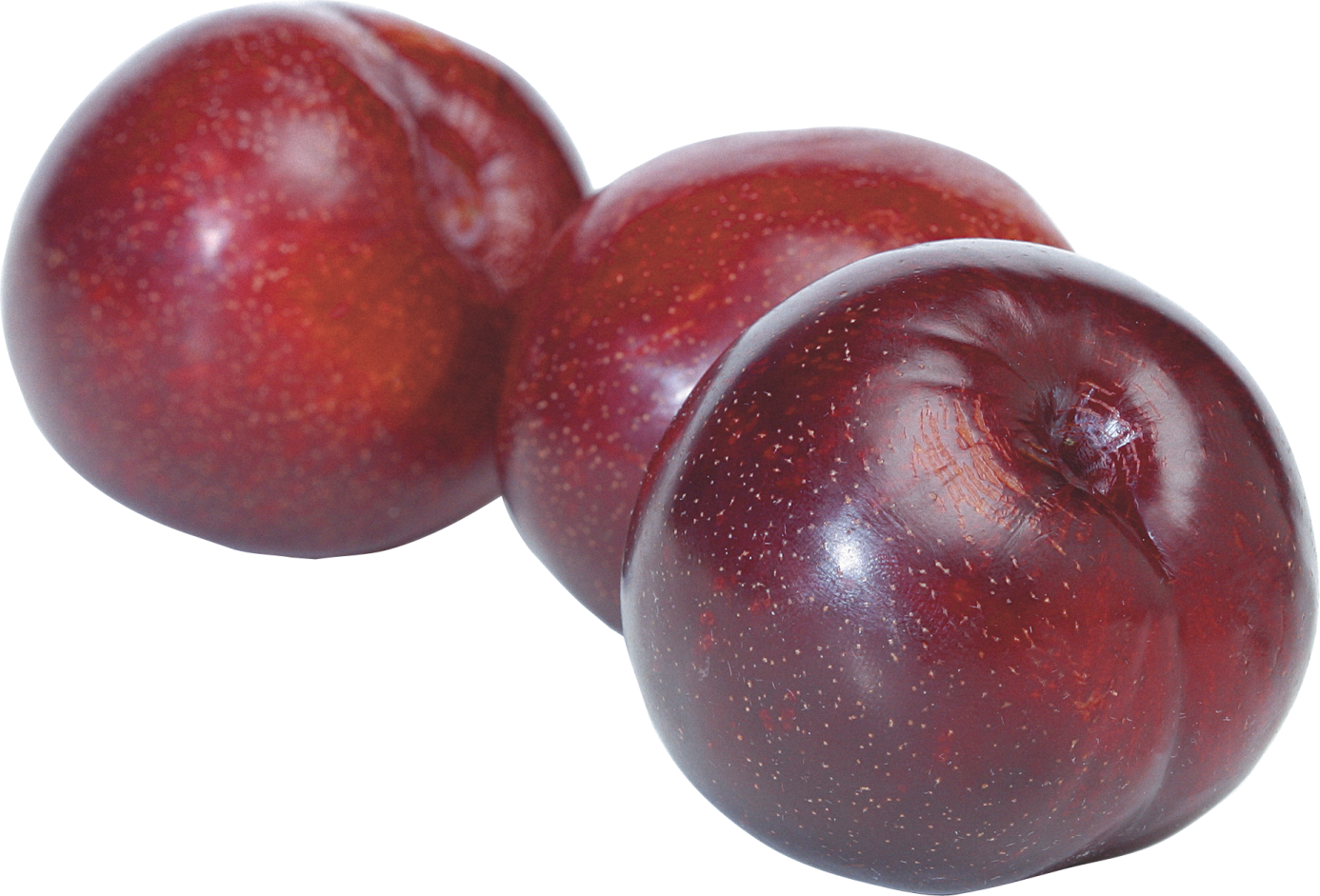 two plums on a white background