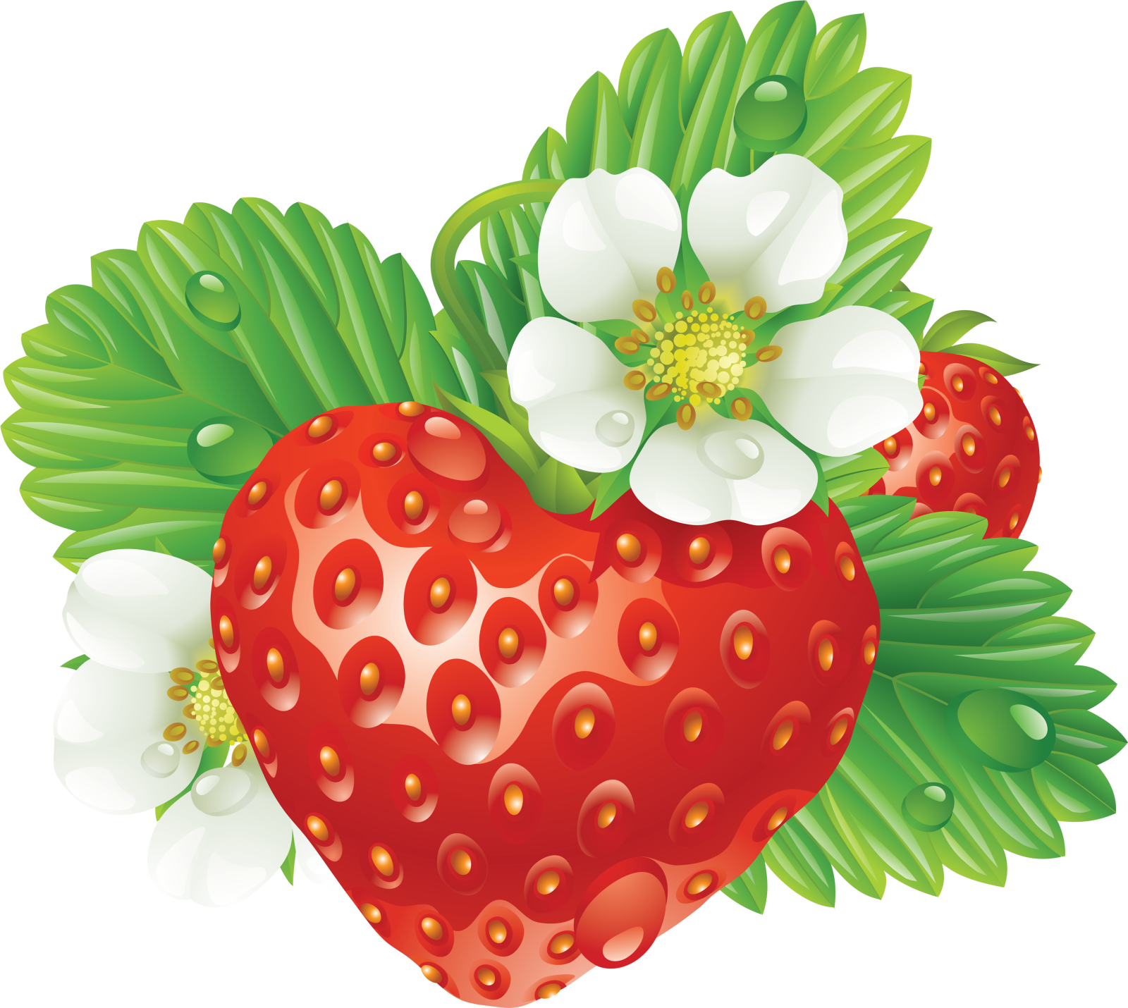 a strawberry with white flowers and leaves