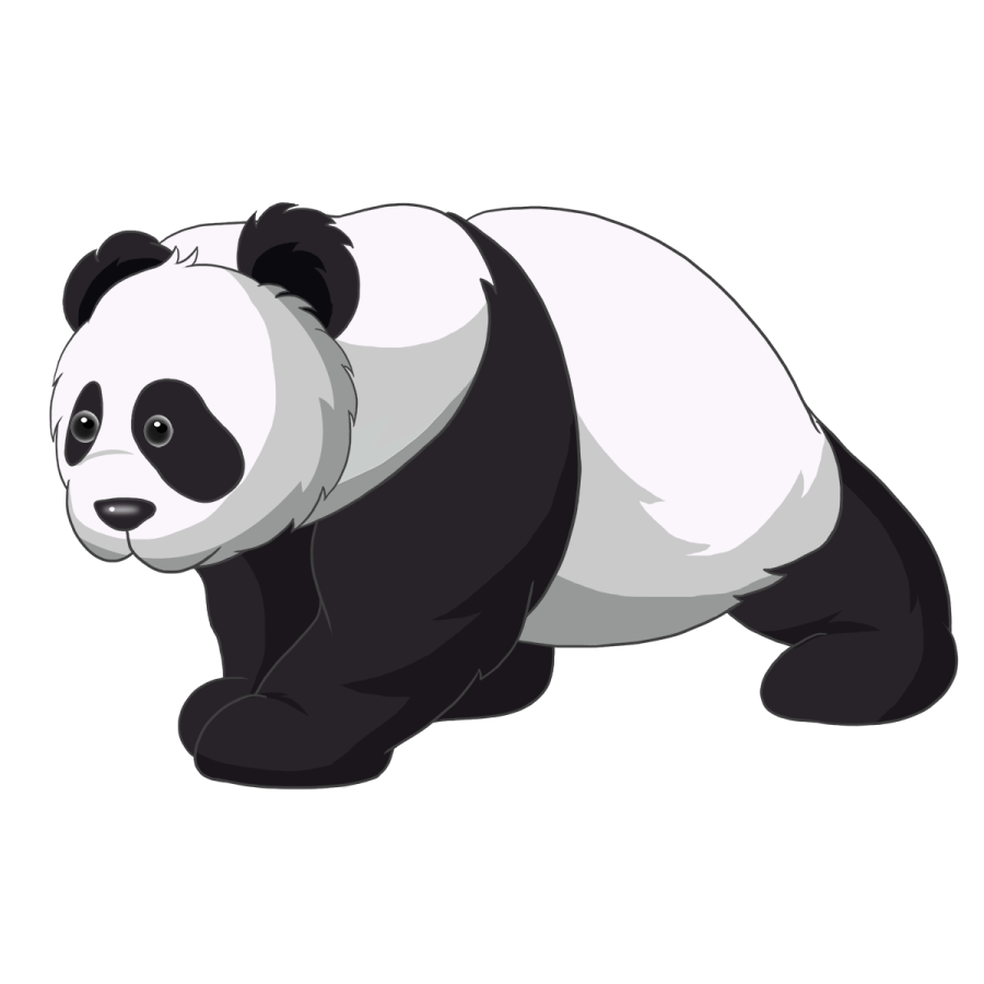 a panda bear on a white background