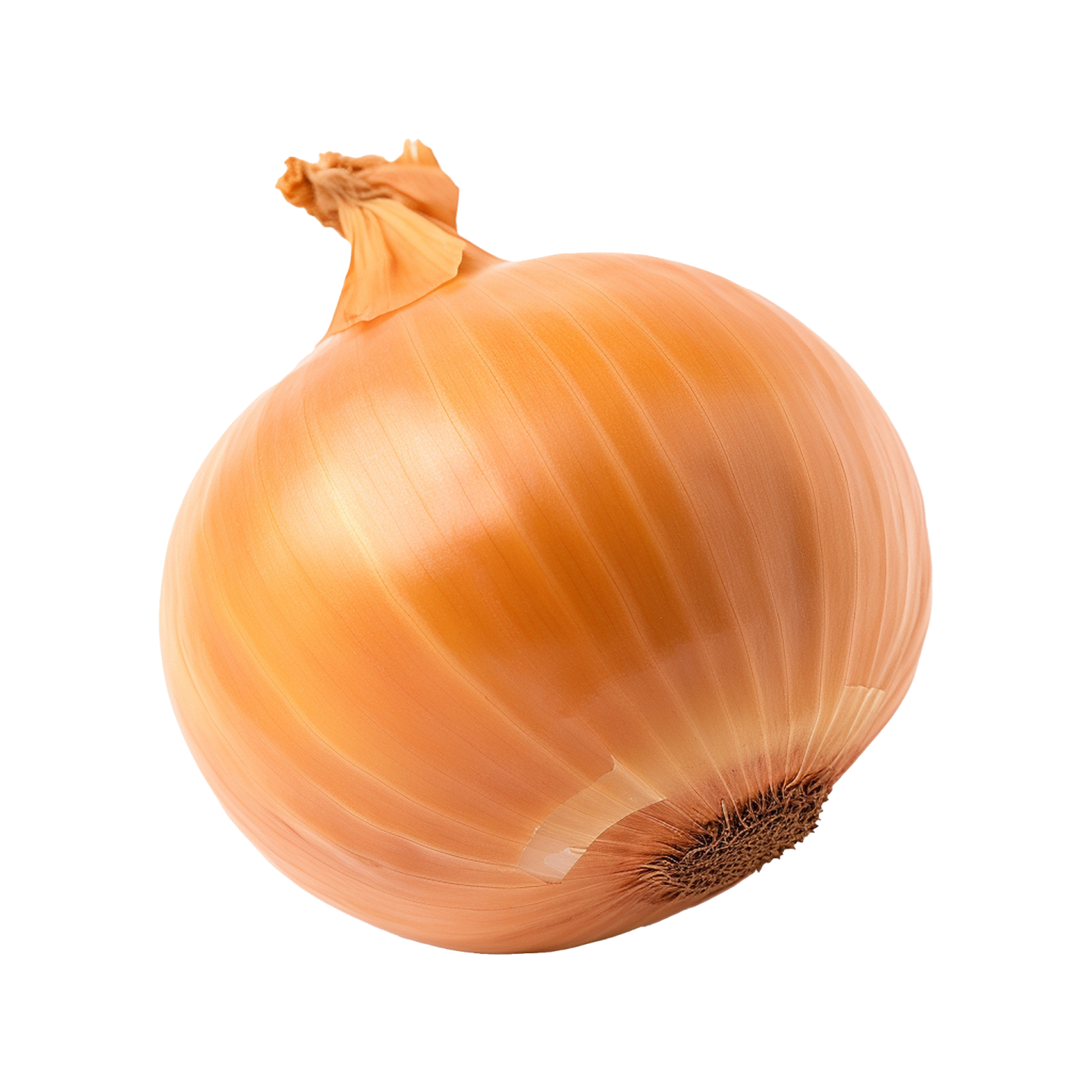 a close up of an onion on a white background