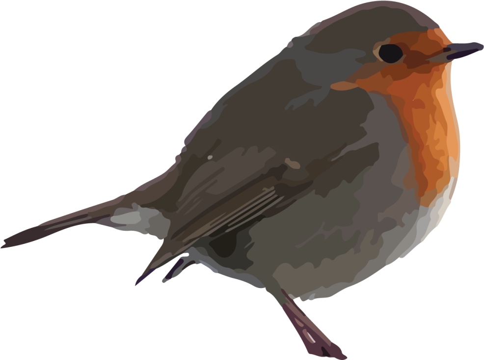 a bird sitting on top of a white surface