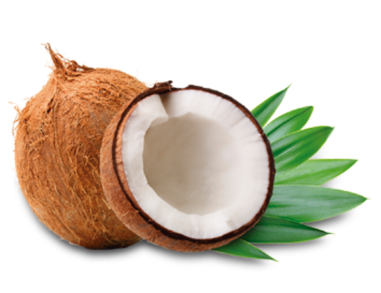 a coconut with a green leaf on it